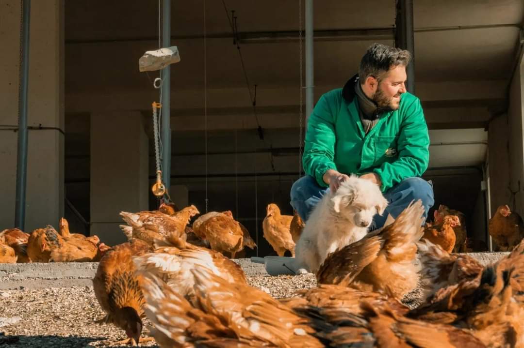 Azienda Agricola Biologica Cecere