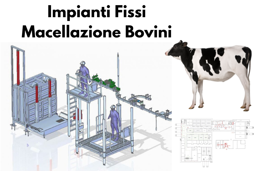 impianti fissi bovini